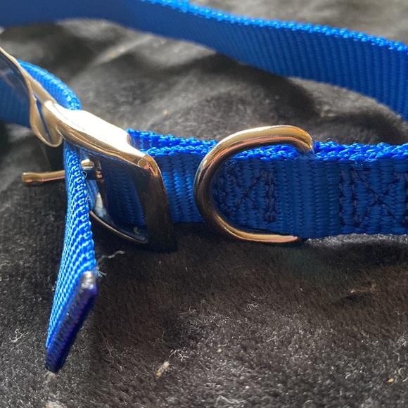 Brand new with tags blue dog collar - Picture 4 of 4